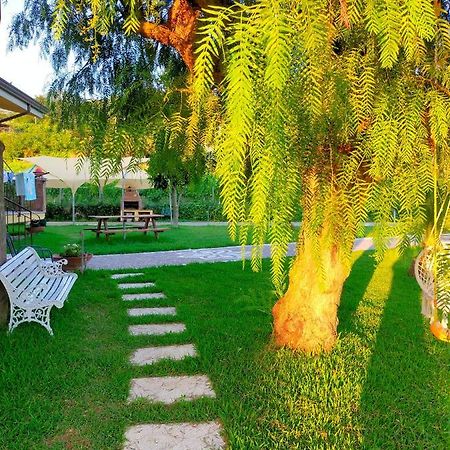 Al Boschetto Bed & Breakfast Melizzano Exterior foto