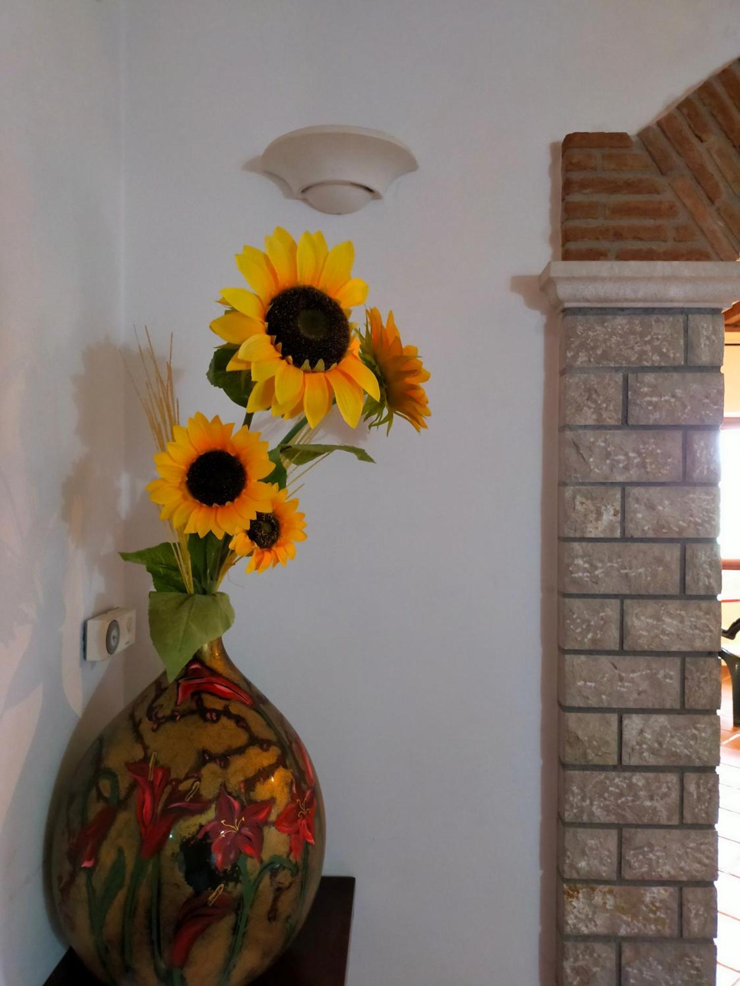 Al Boschetto Bed & Breakfast Melizzano Exterior foto